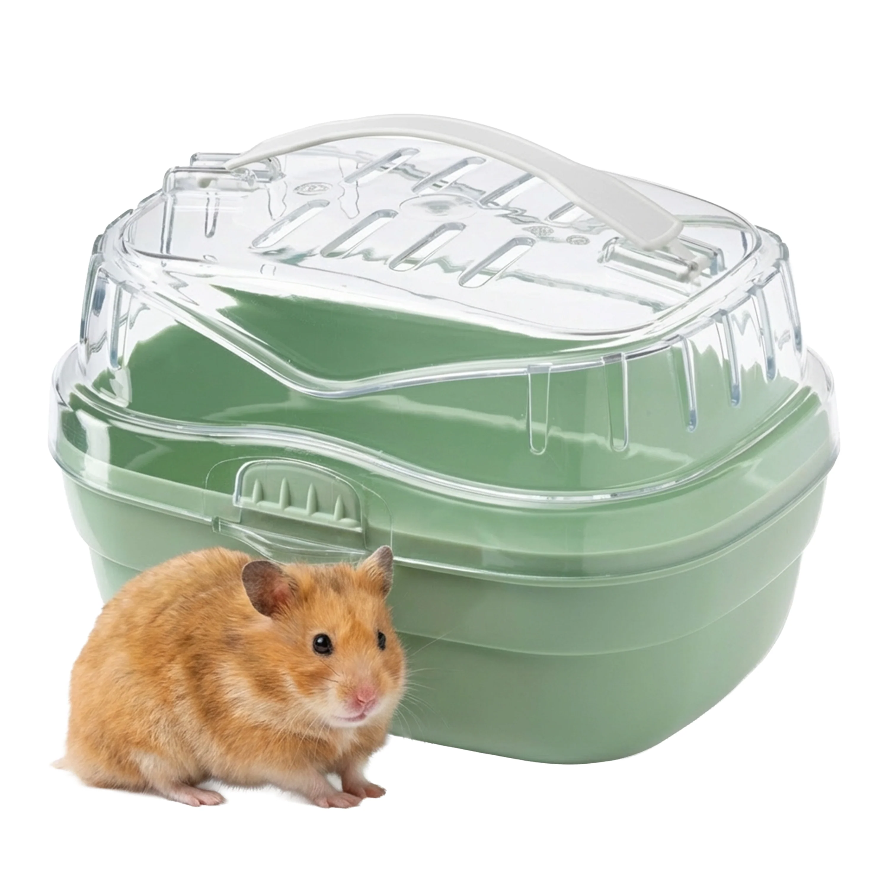 ALADINO SMALL - Image 12
