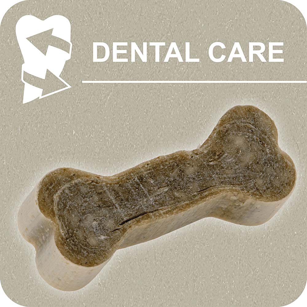 100% SNACK COOKIE - BONE ASCOPHILLUM - Image 2