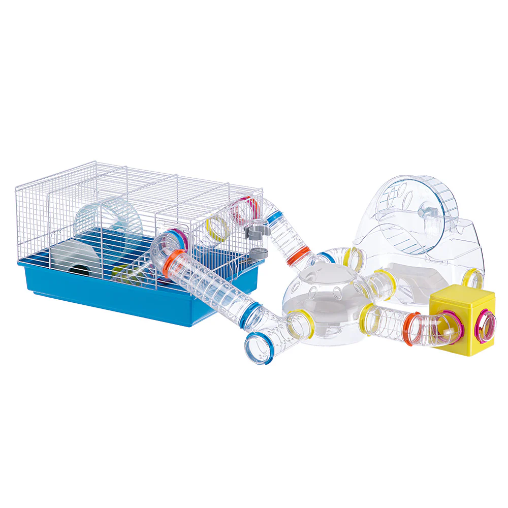 CUBE - Image 6