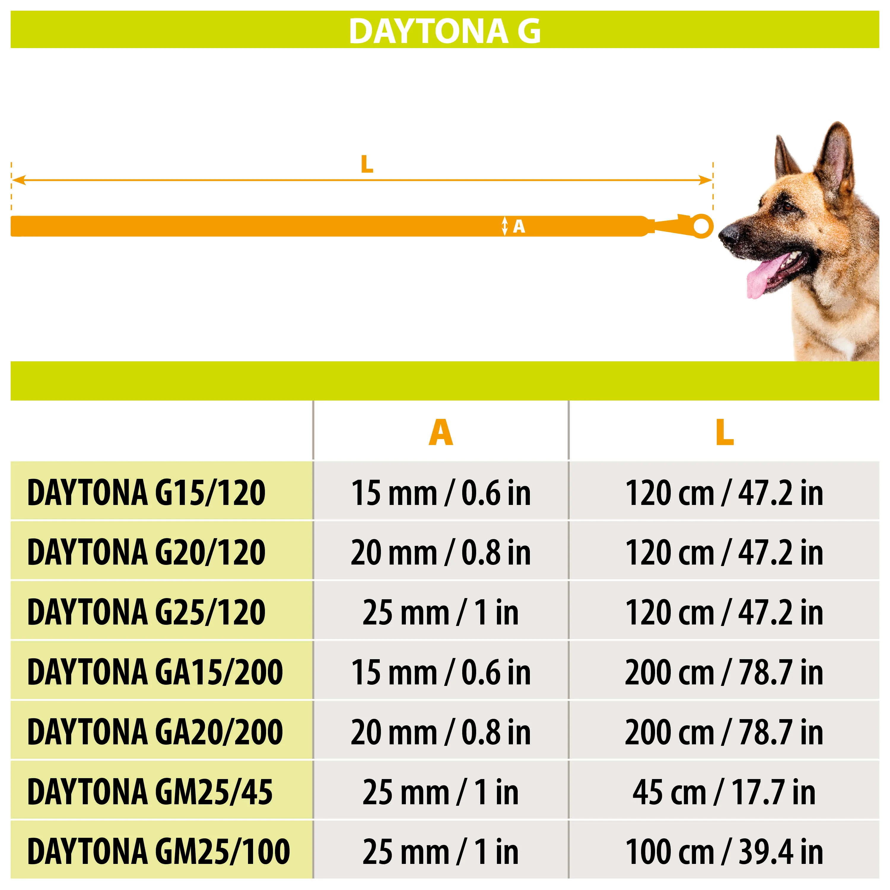 DAYTONA G - Image 2