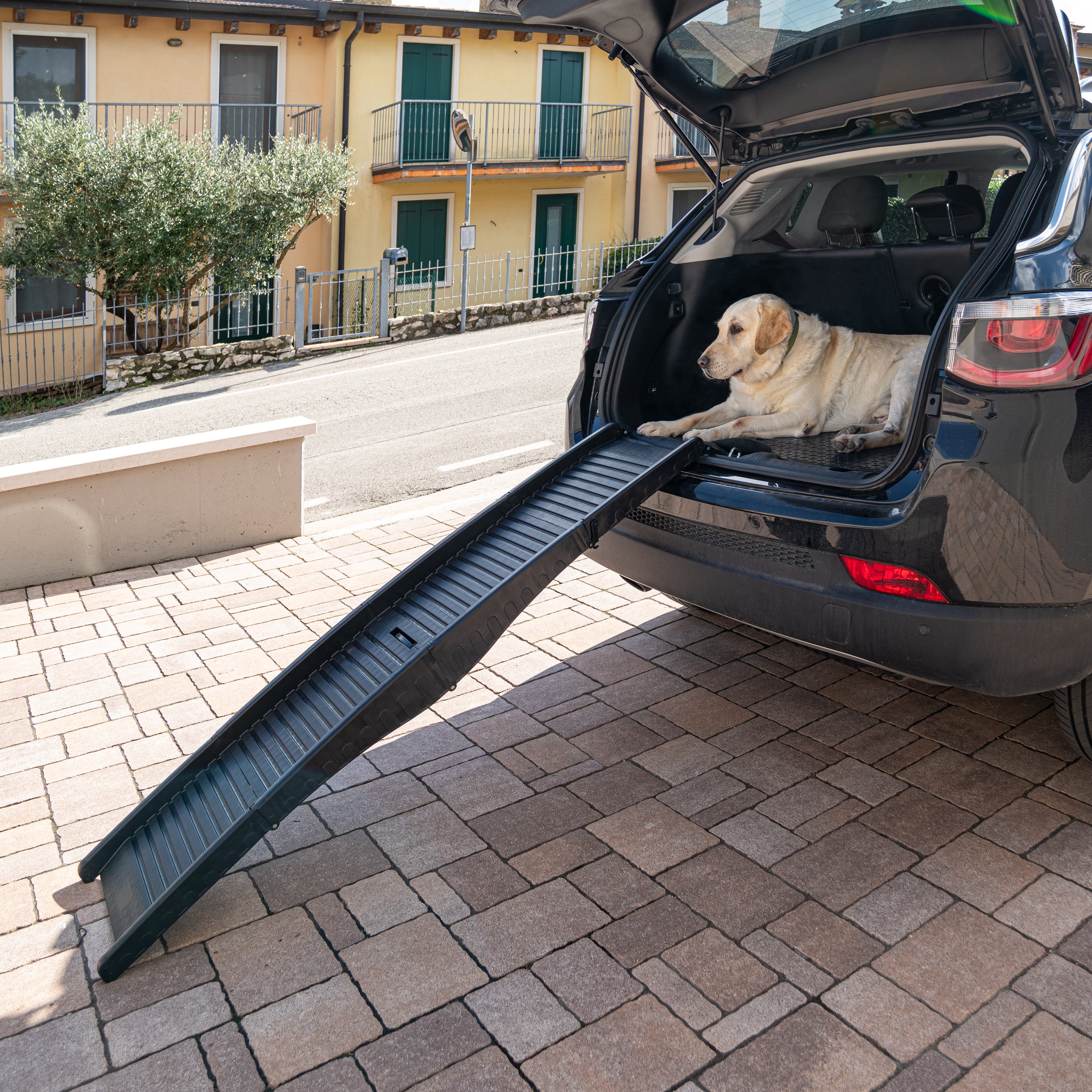 DOG RAMP - Image 2