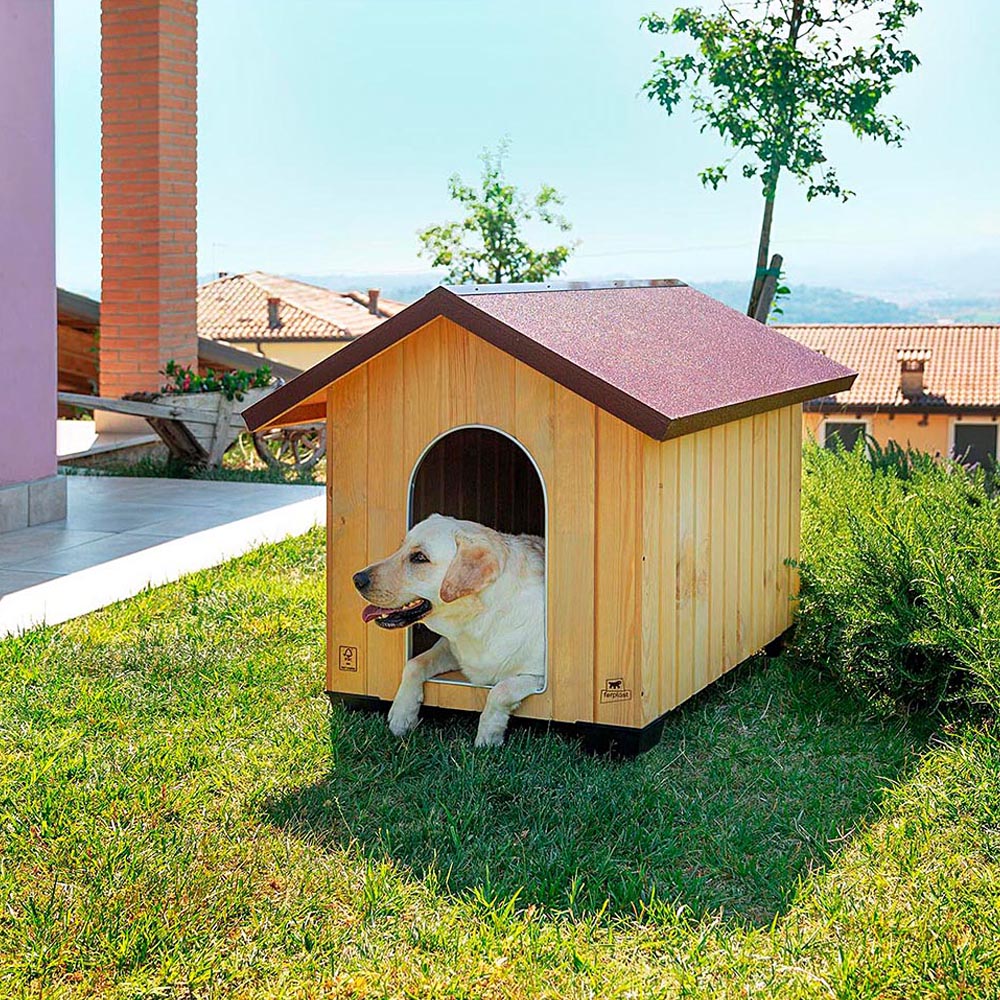 DOMUS - Image 32