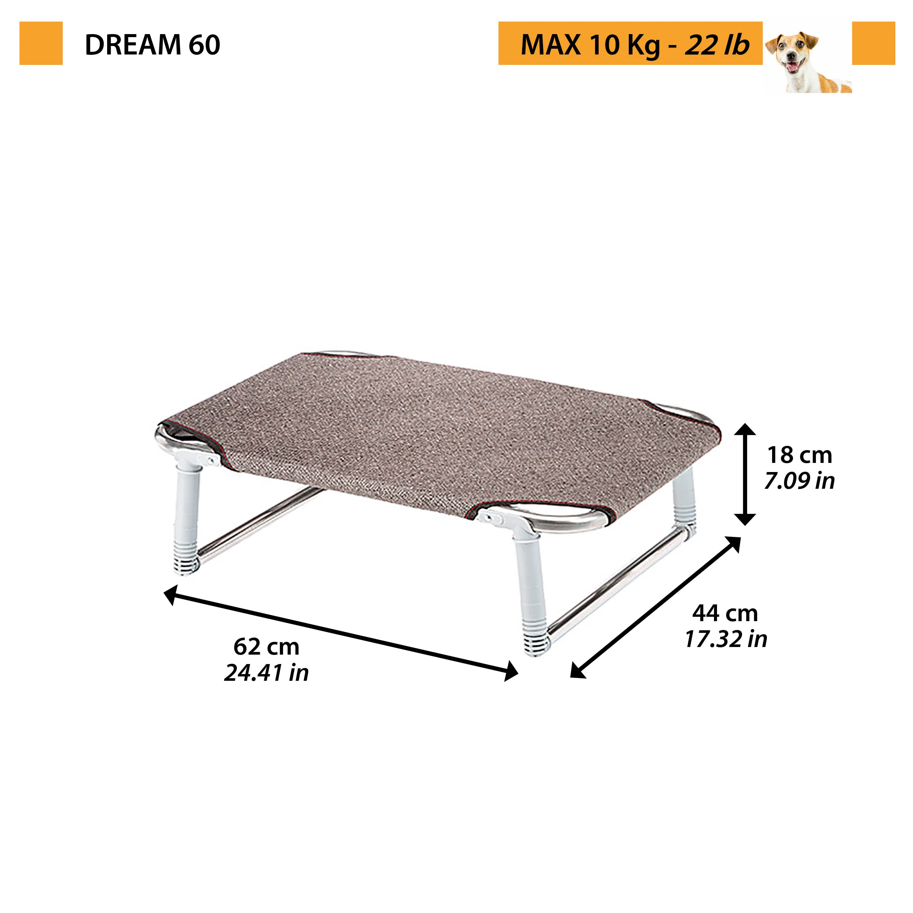 DREAM - Image 2
