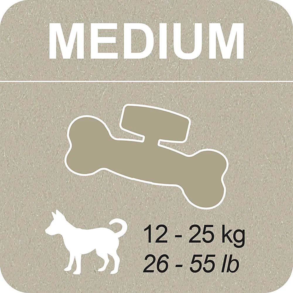 100% SNACK FILLABLE - BONE EUGLENA - Image 5