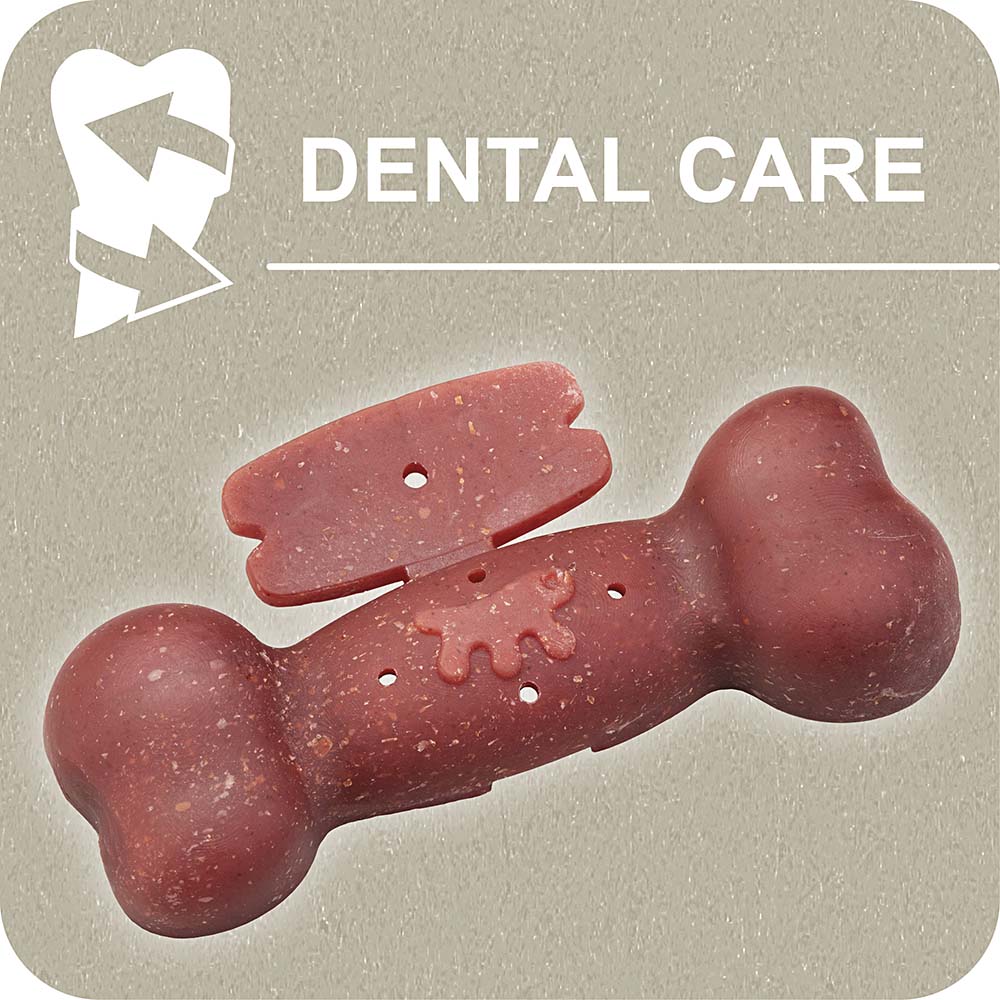100% SNACK FILLABLE - BONE YUCCA - Image 2