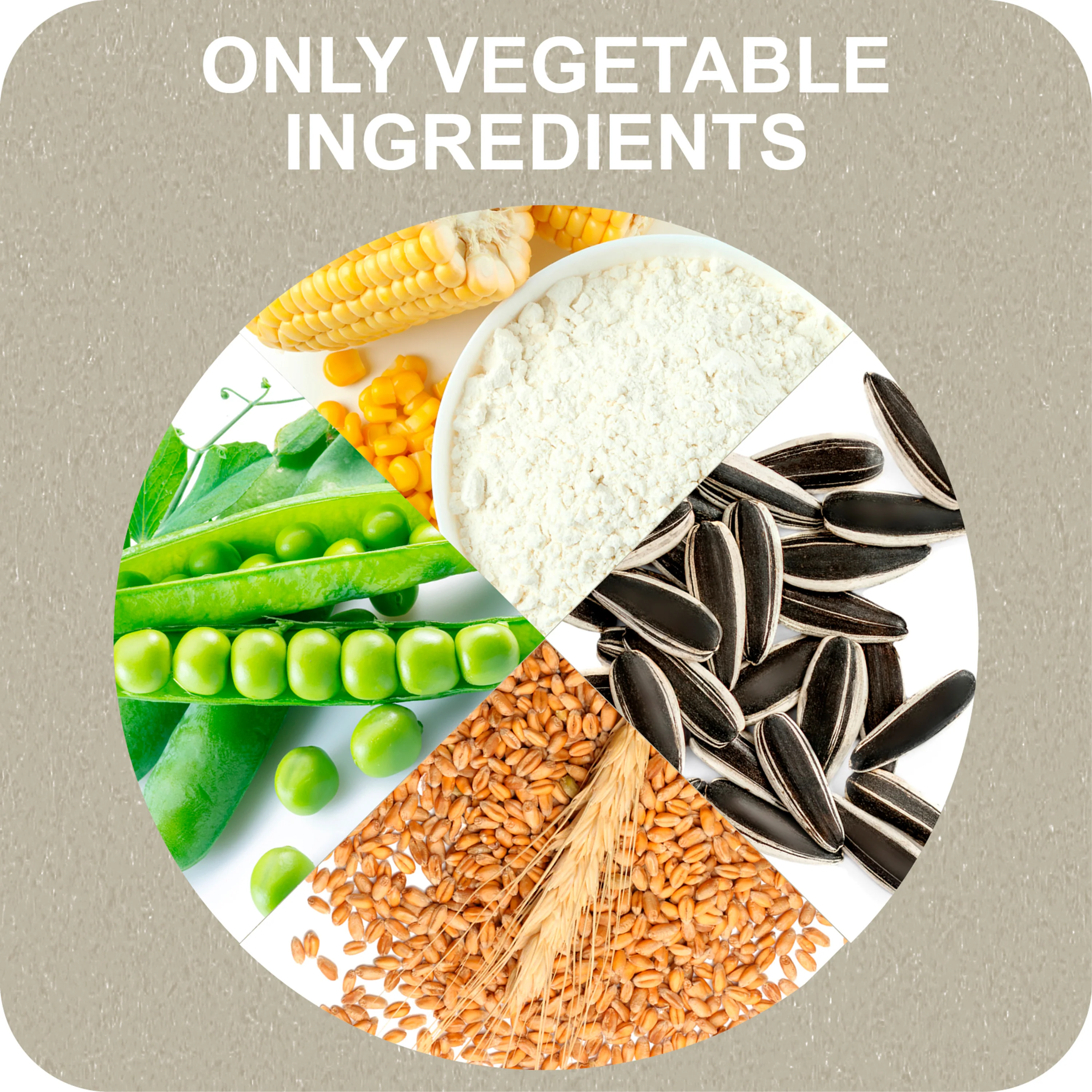 100% SNACK FILLABLE - CANDY YUCCA - Image 4