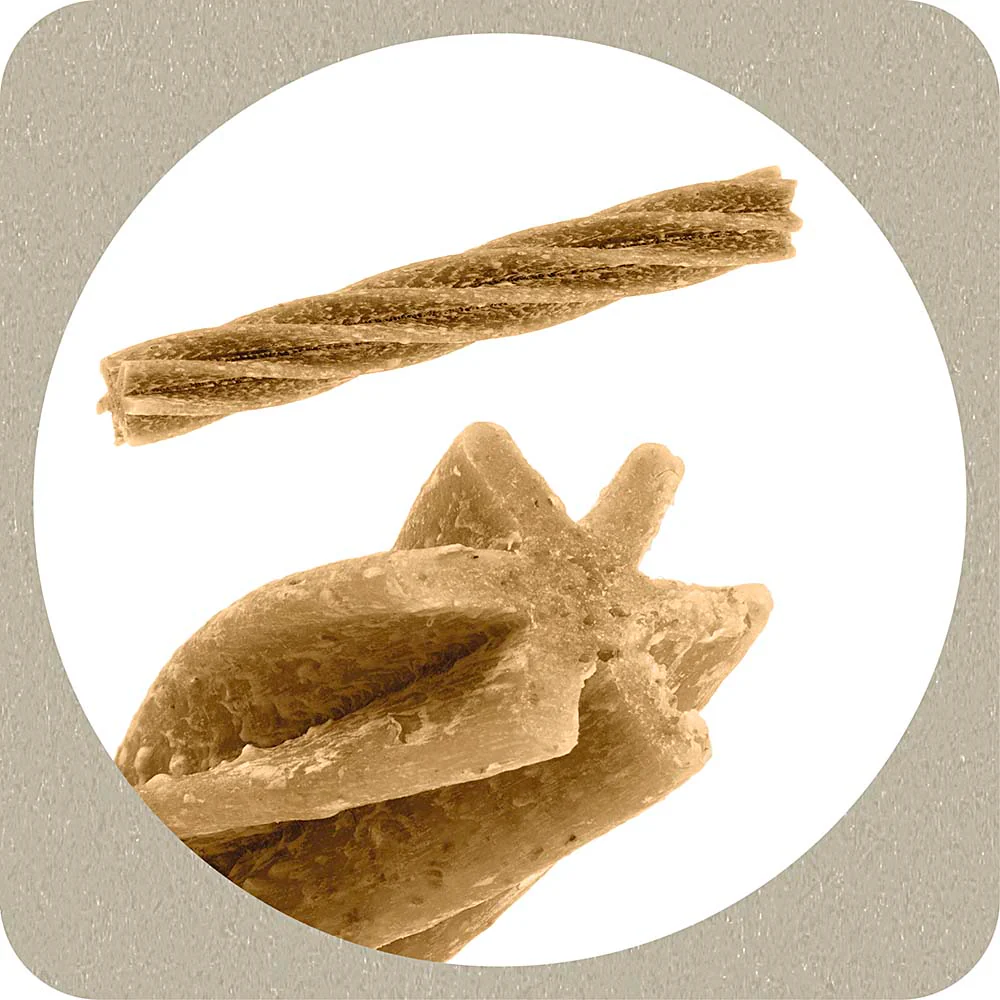 100% SNACK STICKS - FUSILLI EUGLENA - Image 5