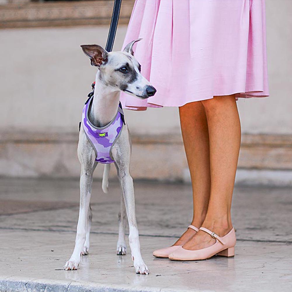 NIKITA P FASHION - Image 15