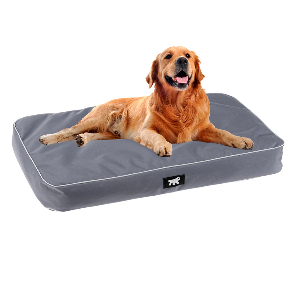 POLO - Image 48