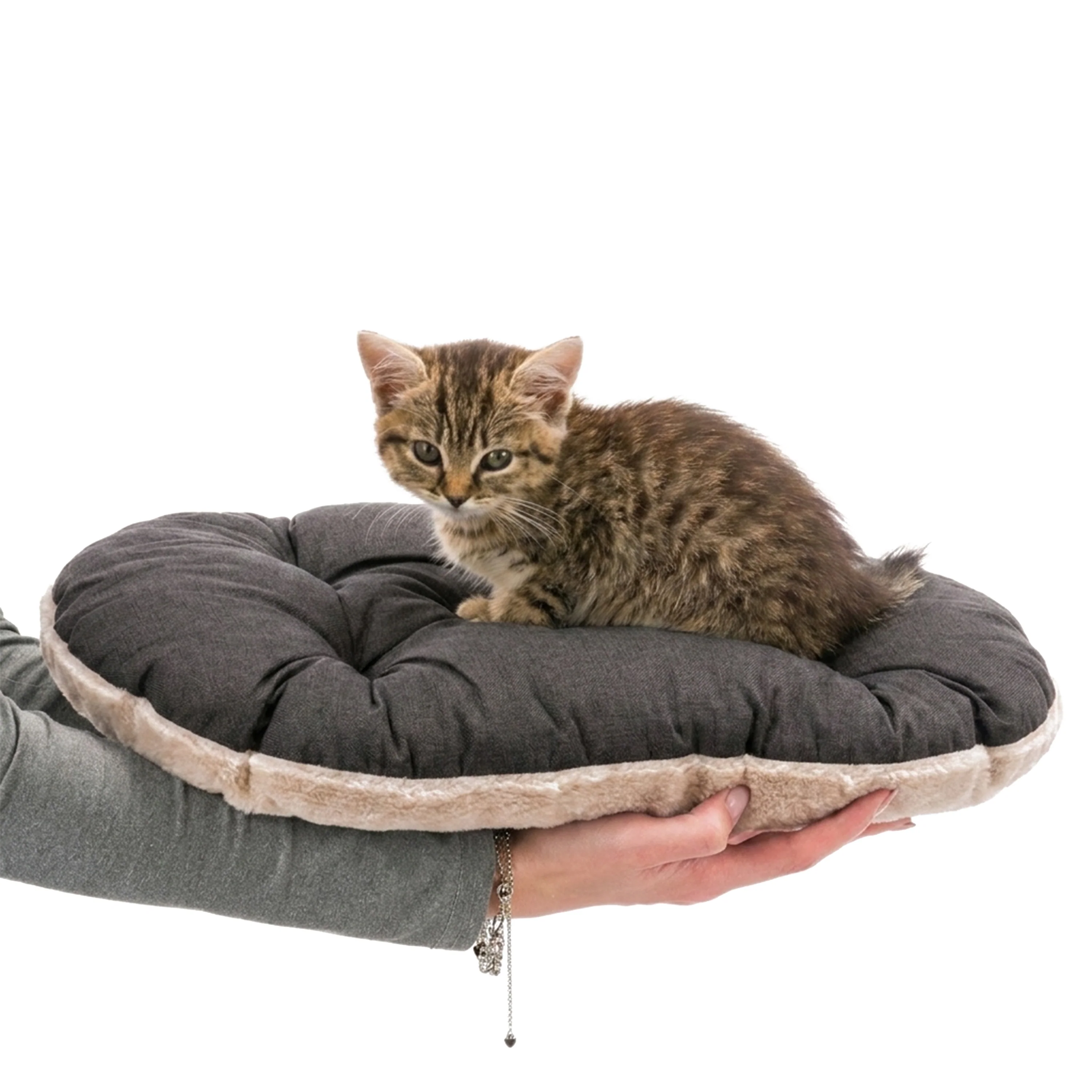 RELAX F - Image 6