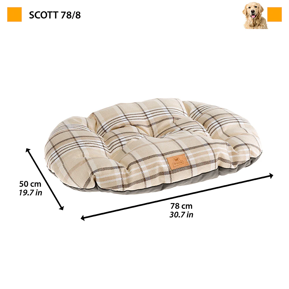 SCOTT - Image 29