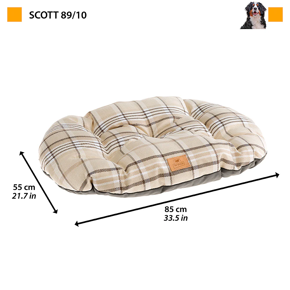 SCOTT - Image 32