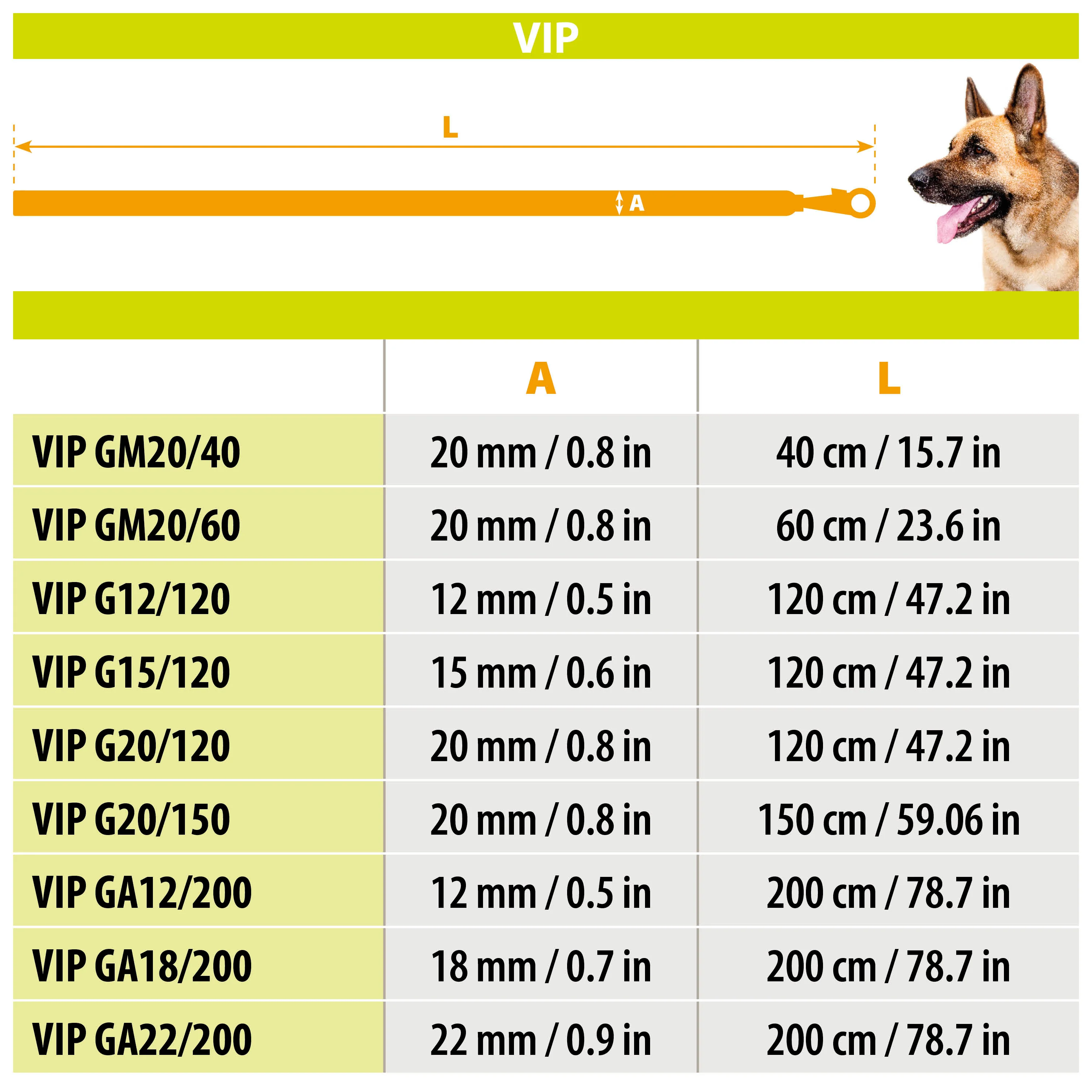 VIP G - Image 2